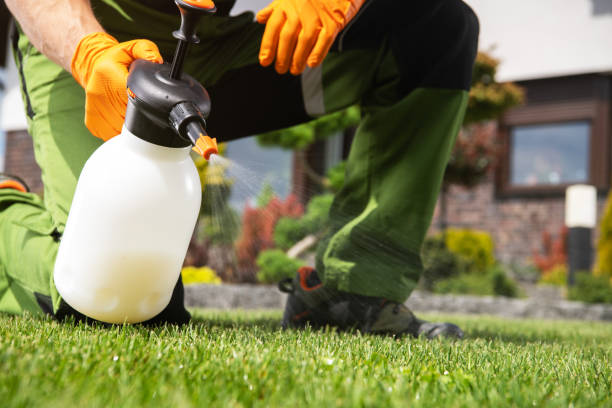 Best Pest Control Near Me  in West Ishpeng, MI