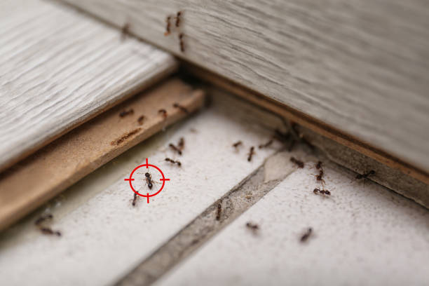 Best Affordable Pest Control Services  in West Ishpeng, MI