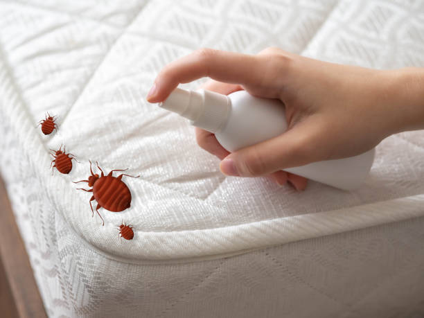 Best Insect Control  in West Ishpeng, MI