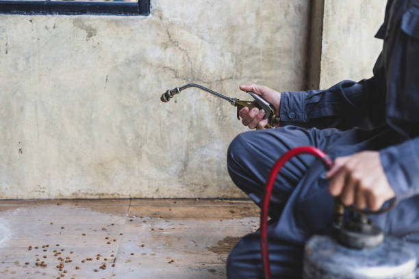Best Best Pest Control Companies  in West Ishpeng, MI